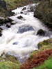 Falls v
